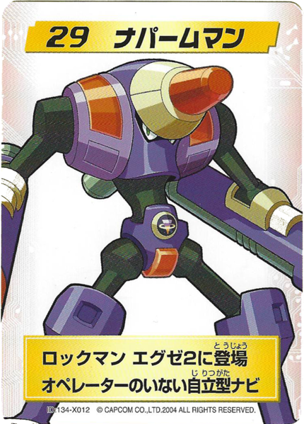 File:Rockman.EXE 4 Character Card 29.png